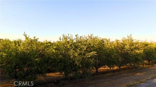 Rd 18 & Ave 16, Madera, Califórnia 93637, Estados Unidos