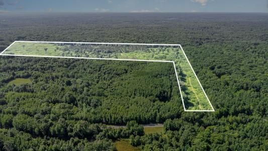 TBD Meredith Grade, Harrison, Michigan 48625, USA