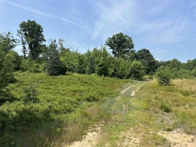 TBD Meredith Grade, Harrison, 미시건 48625, 미국