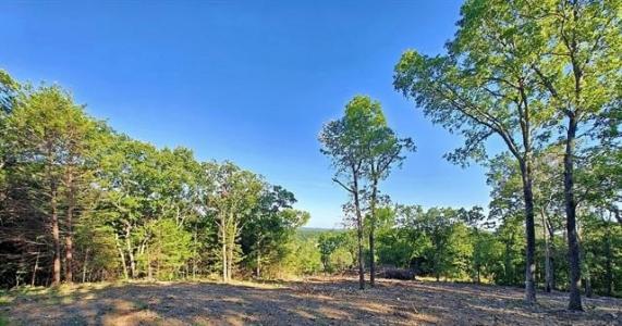 21595 W 888 Road, Cookson, Oklahoma 74427, Estados Unidos