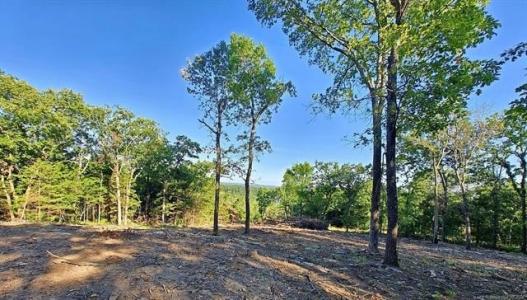 21595 W 888 Road, Cookson, Oklahoma 74427, Estados Unidos