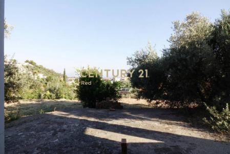 Markopoulo Oropou, Rest Of Attica, Greece