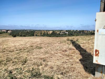 サンタレン, サンタレン 2025-451, ポルトガル