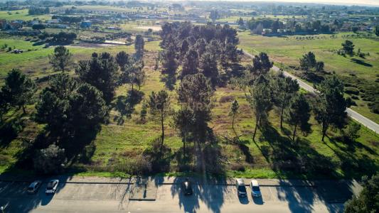 Palmela, Setubal 2965-515, Portugal