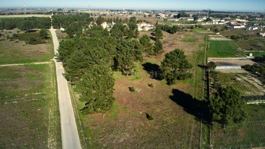 Palmela, Setubal 2965-515, Portugal