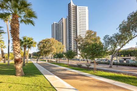 Málaga, Andalucía 29009, Spain