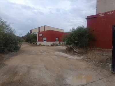 Alacant/Alicante, Comunitat Valenciana 03680, Spain