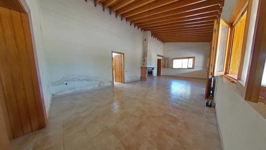 Alacant/Alicante, Comunitat Valenciana 03680, Espanha