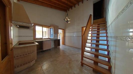 Alacant/Alicante, Comunitat Valenciana 03680, Espanha