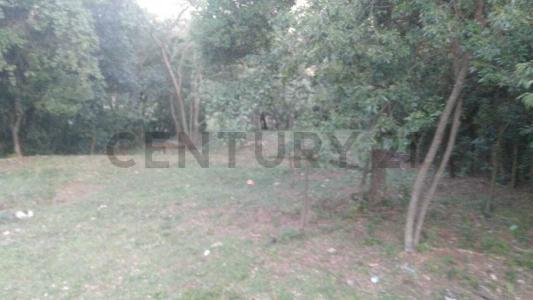 Pirebebuy, Cordillera 00001, Paraguay