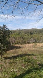 Pirebebuy, Cordillera 00001, Paraguay