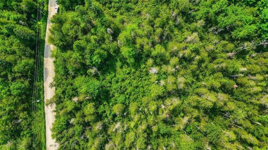 167 Ch. Lafrenière, Val-des-Monts, Quebec J8N 7J6, Canada