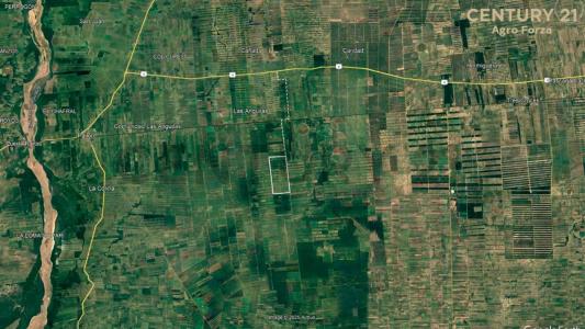 Este, Santa Cruz 0000, Bolivia