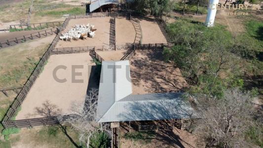 Este, Santa Cruz 0000, Bolivia