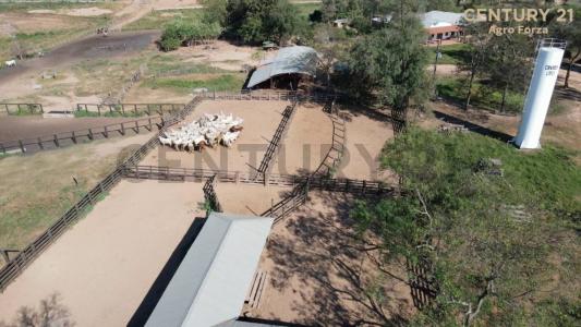 Este, Santa Cruz 0000, Bolivia