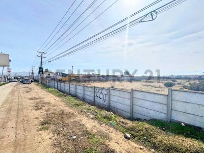 Elqui, Coquimbo 00001, Chile