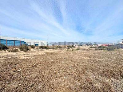 Elqui, Coquimbo 00001, 智利