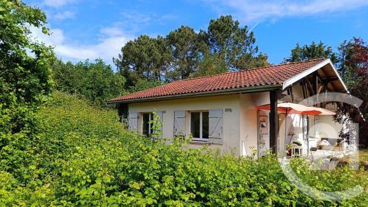 St Vivien De Medoc, أكيتانيا 33590, فرنسا