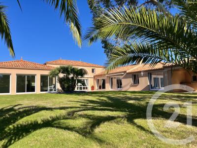 Le Fenouiller, Pays de la Loire 85800, France