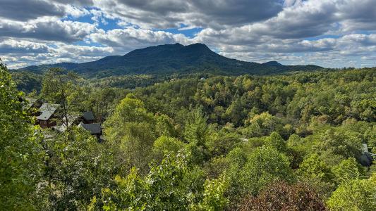 1352 Timberwolf Way, Sevierville, Tennessee 37876