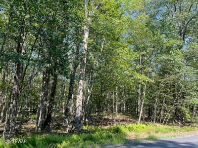 Lot 14 Ridge Drive , Milford, Pensylwania 18337, USA