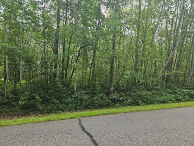 Lot 3 Blk 2 SW 1st Ave, Grand Rapids, Minnesota 55744