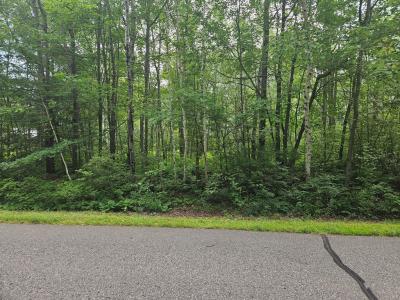 Lot 3 Blk 2 SW 1st Ave, Grand Rapids, Minnesota 55744