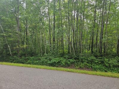 Lot 3 Blk 2 SW 1st Ave, Grand Rapids, Minnesota 55744