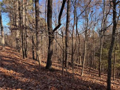 129 Adair Drive Ne, Ranger, Géorgie 30734, États-Unis