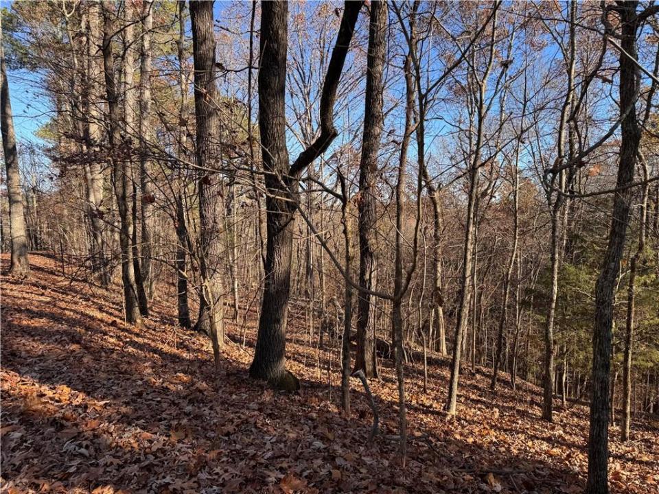 129 Adair Drive Ne, Ranger, Géorgie 30734, États-Unis