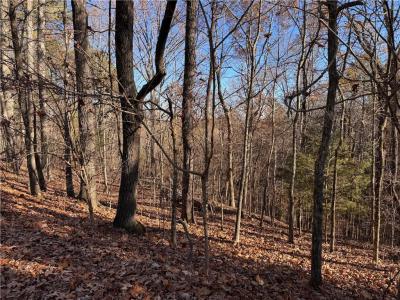 129 Adair Drive Ne, Ranger, Géorgie 30734, États-Unis