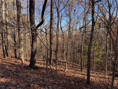 129 Adair Drive Ne, Ranger, Géorgie 30734, États-Unis