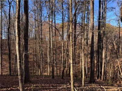 129 Adair Drive Ne, Ranger, Géorgie 30734, États-Unis