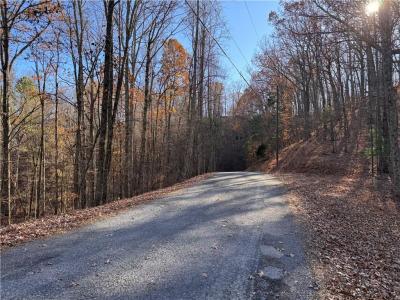 129 Adair Drive Ne, Ranger, Géorgie 30734, États-Unis