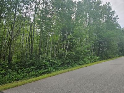 Lot 4 Blk 2 SW 1st Ave, Grand Rapids, Minnesota 55744