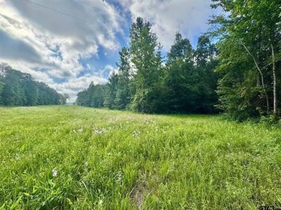 TBD CR 369, Winona, Texas 75792, Estados Unidos