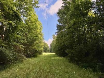 TBD CR 369, Winona, Texas 75792, États-Unis