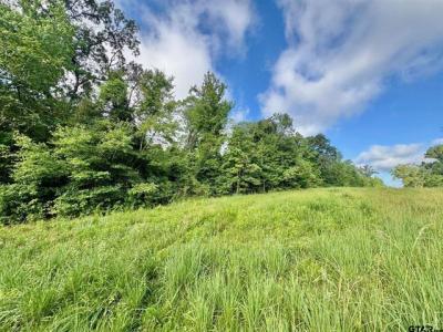 TBD CR 369, Winona, Texas 75792, États-Unis