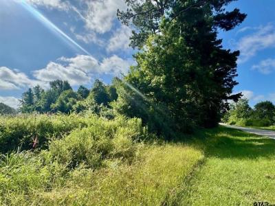 TBD CR 369, Winona, Texas 75792, États-Unis