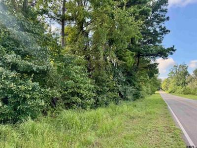 TBD CR 369, Winona, Texas 75792, États-Unis