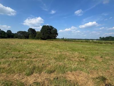 TBD PR 7402, Hawkins, Texas 75765, Estados Unidos