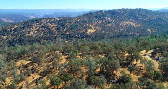 5341 Paddy Hill Rd., Mariposa, كاليفورنيا 95338, الولايات المتحدة