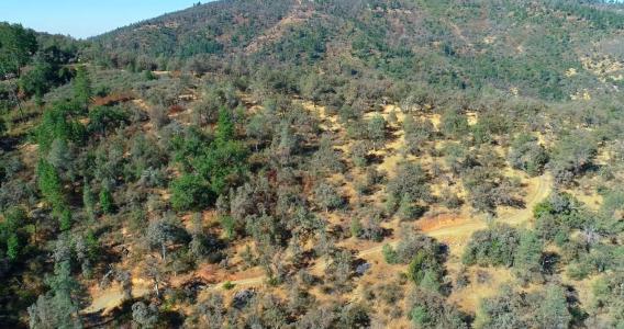 5341 Paddy Hill Rd., Mariposa, كاليفورنيا 95338, الولايات المتحدة