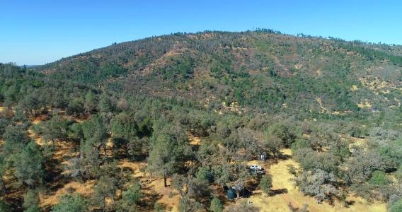 5341 Paddy Hill Rd., Mariposa, كاليفورنيا 95338, الولايات المتحدة