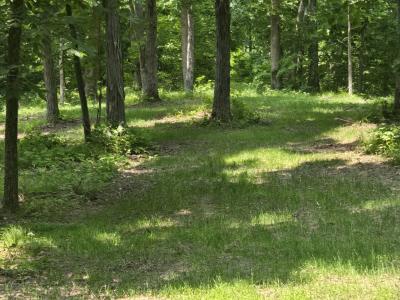 xxx Lookout Trail, Kirksville, Missouri 63501