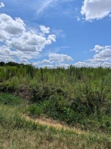 0 County Road 19, Headland, Alabama 36345