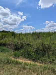 0 County Road 19, Headland, Alabama 36345