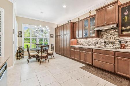16301 Garnet Glen Place, Wimauma, Florida 33598, Stati Uniti