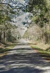 10065 Mcmahon, Hastings, Floride 32145, États-Unis