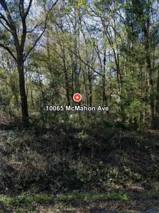 10065 Mcmahon, Hastings, Floride 32145, États-Unis